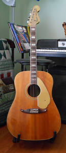 Fender Wildwood Guitar Photo
