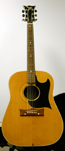 Grammer Guitar Photo