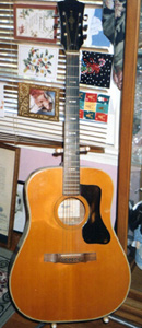 Kapa Guitar Photo